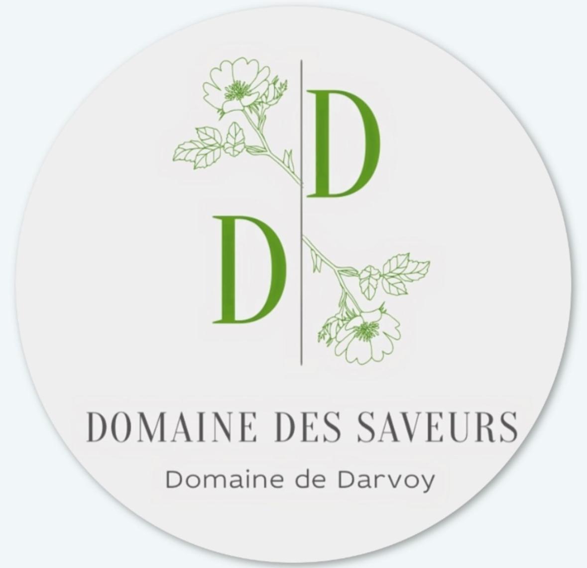 Bed and Breakfast Domaine De Darvoy Exterior foto